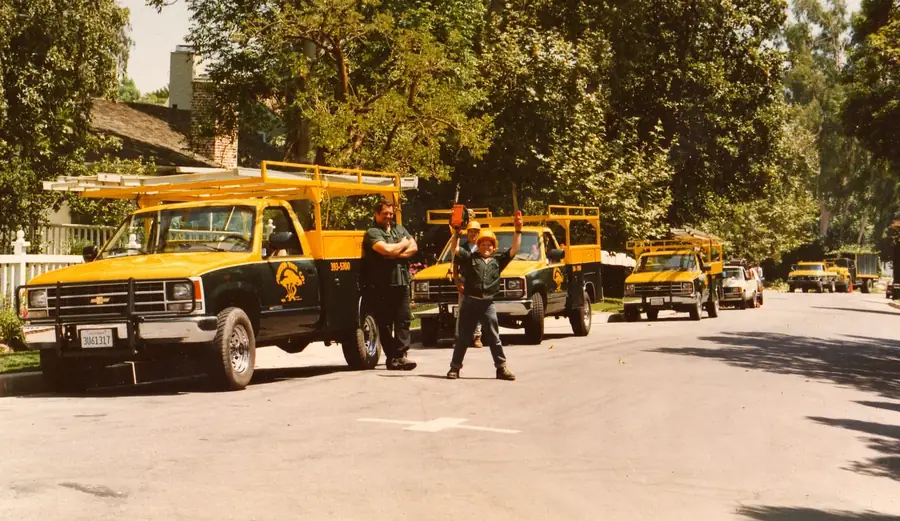 An archival photograph of the Johnson Tree Company fleet: a line of yellow and black flatbed trucks parked down a residential street, the crew standing alongside.
