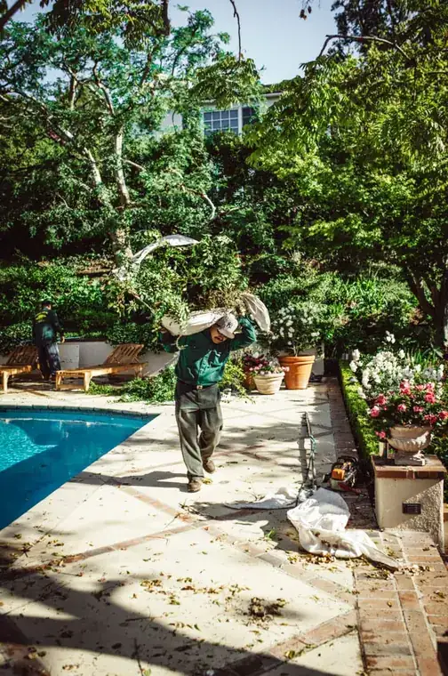 A crew member carries cut brush across a poolside terrace during a clean-up.
