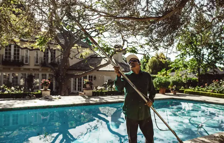A Johnson Tree Company arborist in a hard hat uses a pole saw over a swimming pool at a Palisades estate.